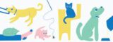 A colorful abstract graphic showing playful pets